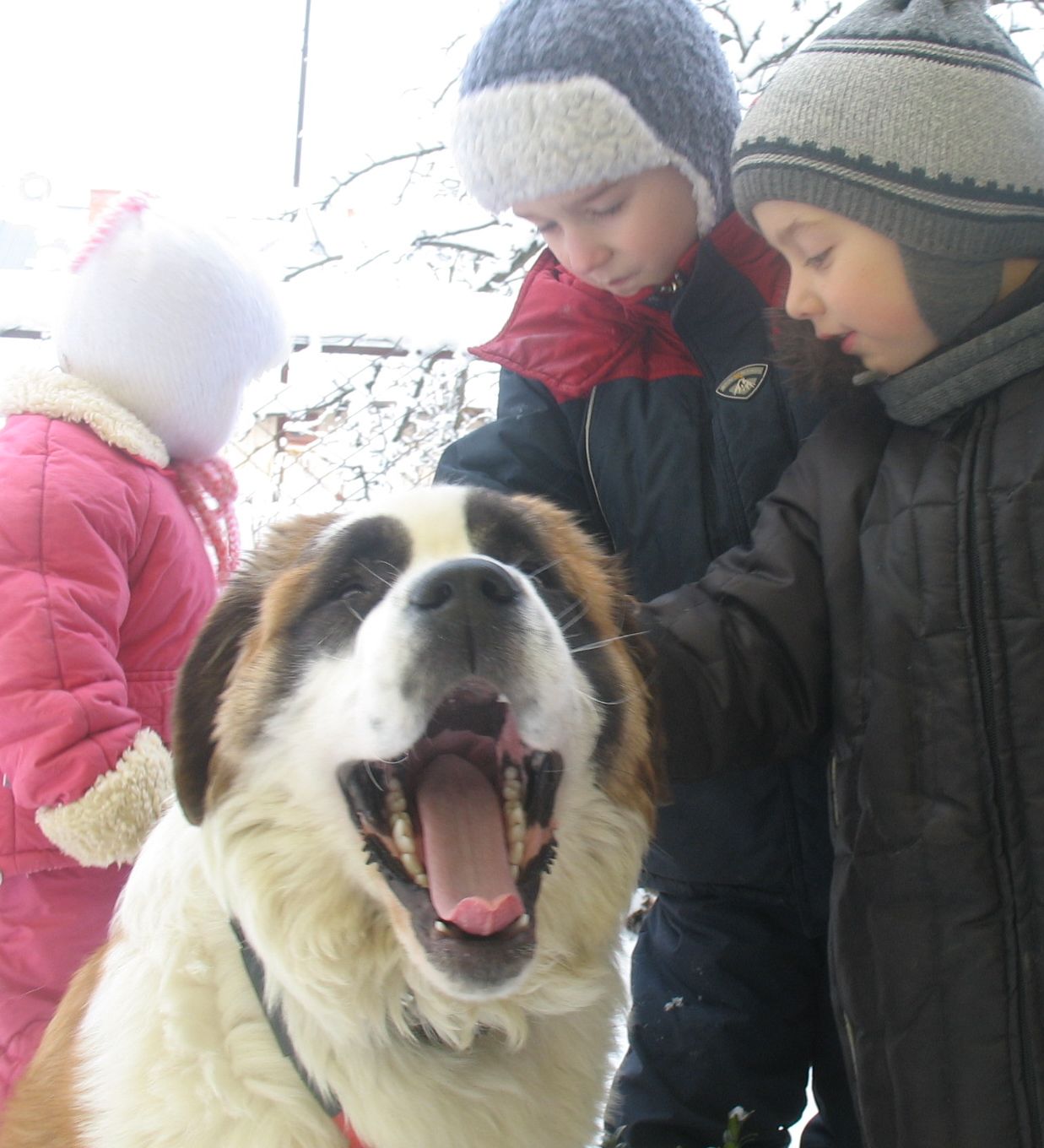 Бориславська спецшкола-інтернат