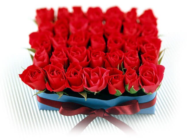 Козятинський обласний центр матері та дитини святкує 6-річчя !