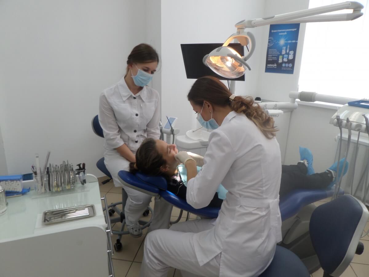 Клініка «ПрофіДент»: Вихованців родини Вовк оглянуто клінікою «ПрофіДент»!