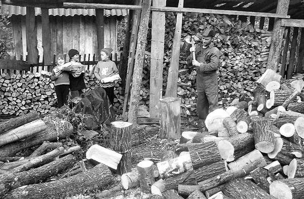 «Дрова в оселю – тепло родині»