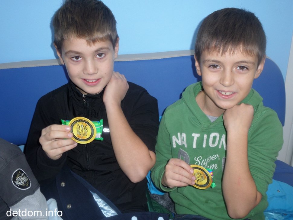 Вихованці ДБСТ Вовк здають аналізи в лабораторії "Synevo"