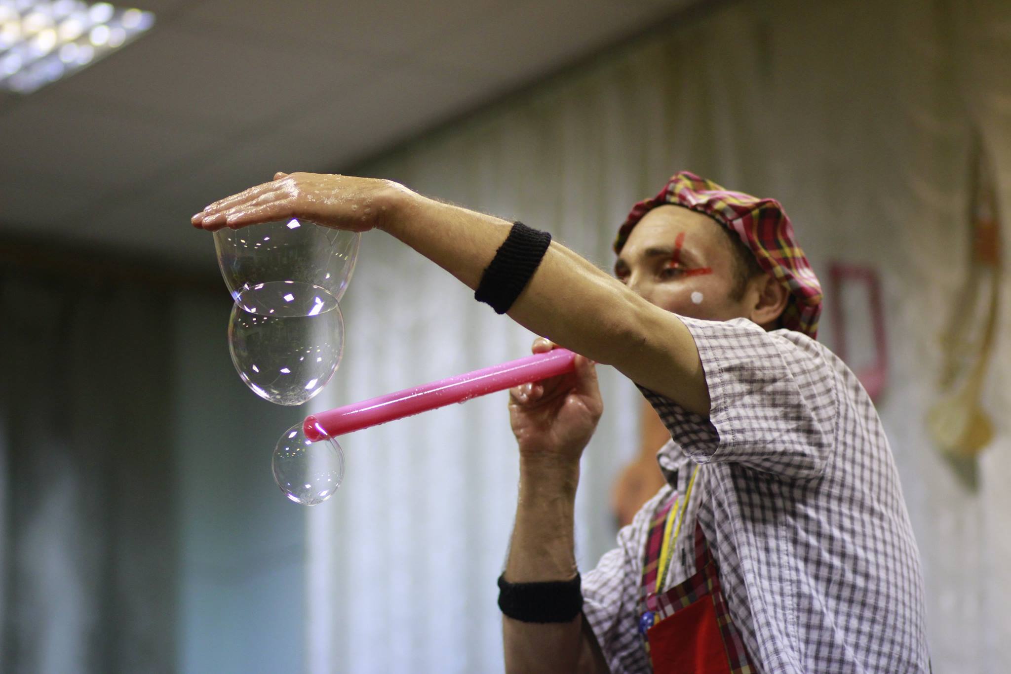 12218283_945937635474116_969325822_o