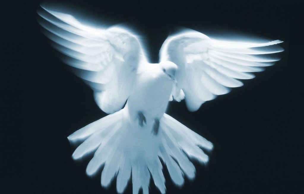 Дневник детдомовца