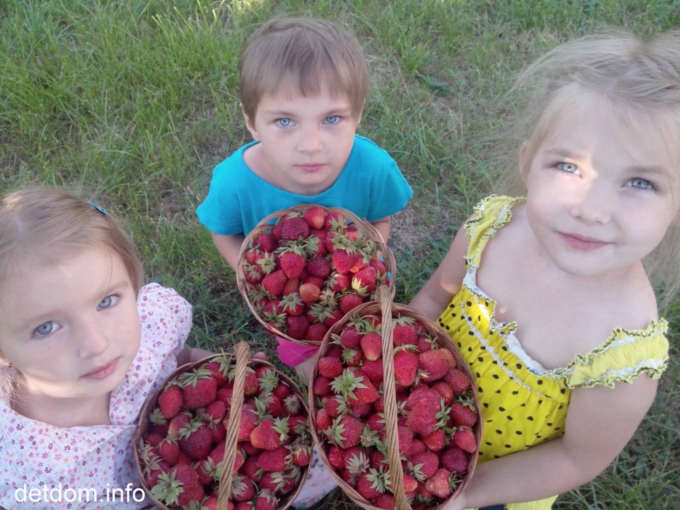 Фото ДБСТ родини Раранчук