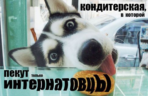 Приємні сюрпризи активним волонтерам (ініціатива  року)