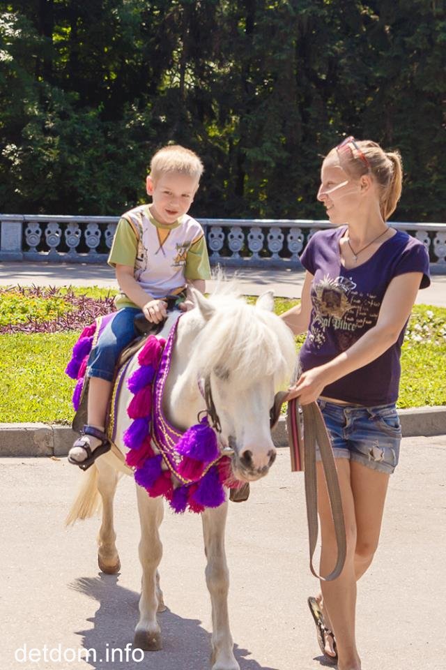 7 липня - діти- сироти із ДБ "Зелений Гай"(смт.Високий, Харківська обл.) відвідали Дельфінарій "Немо"(м.Харків)