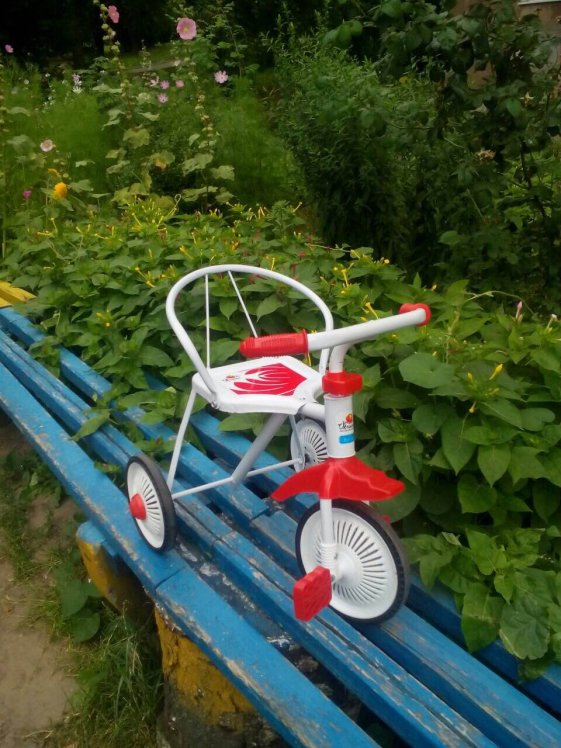 Діти з дитячих будинків та кризових родин отримали чудові велосипеди