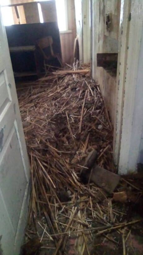 Пожежа залишила без даху над головою багатодітну родину