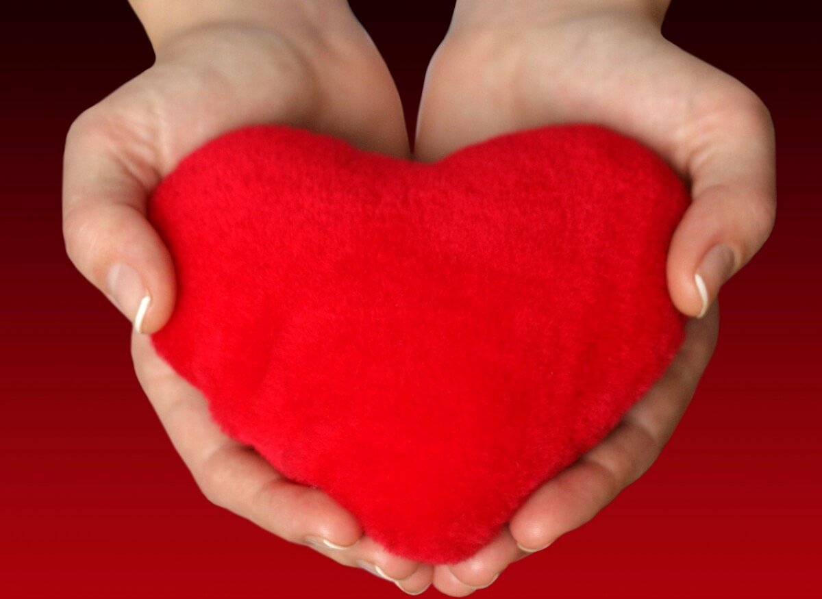 Допомога ДБСТ родини Бехтольд!